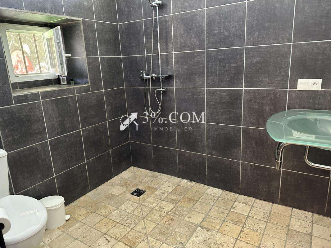 Maison à SAINT-HILAIRE-DE-BRETHMAS