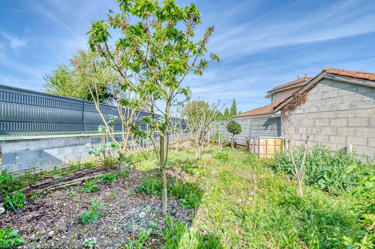 Maison à TIGNIEU-JAMEYZIEU