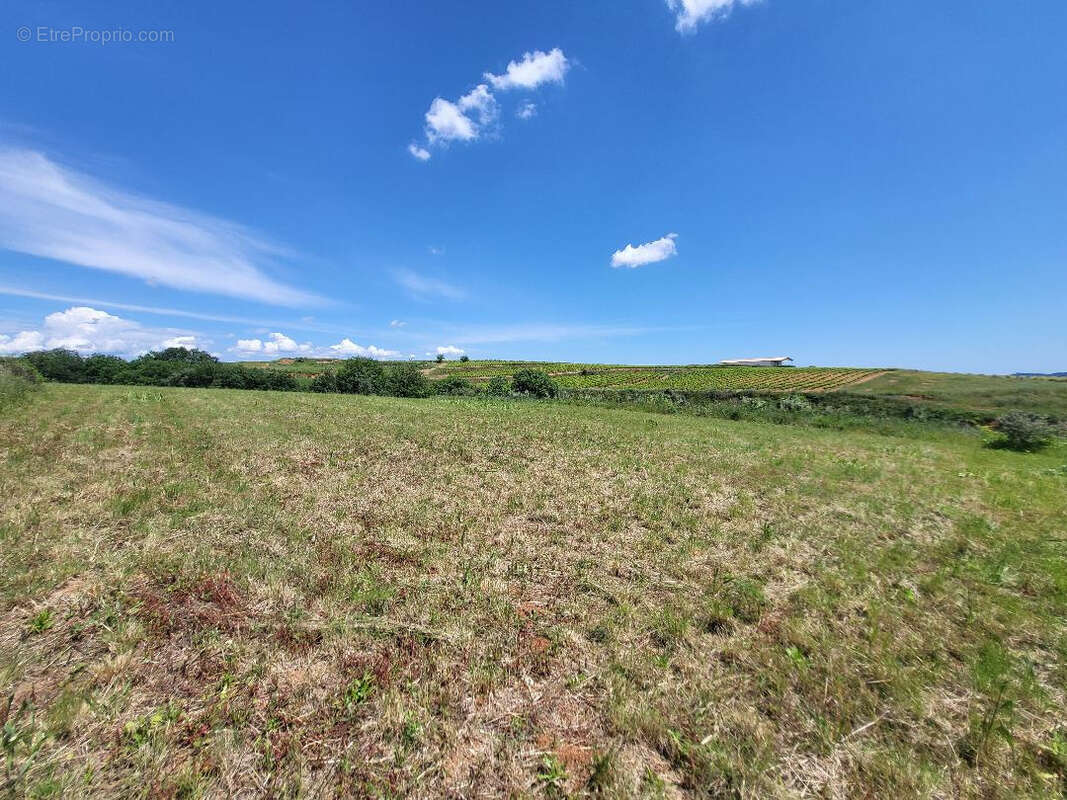 Terrain à CAUX
