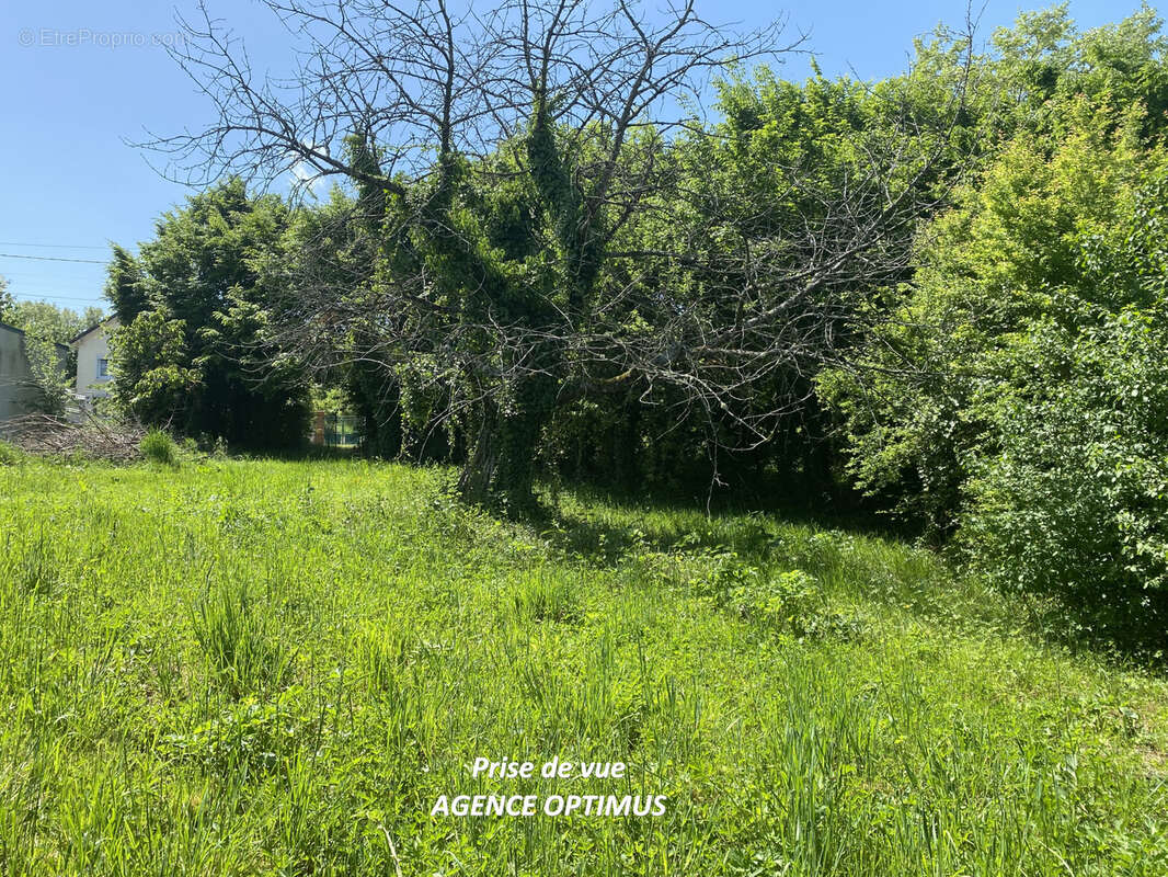 Terrain à VILLENEUVE-LA-GUYARD