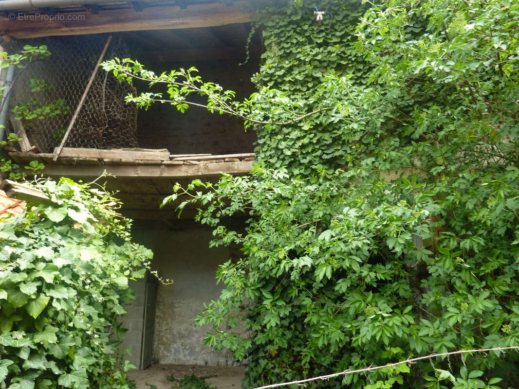 Maison à LA TRIMOUILLE