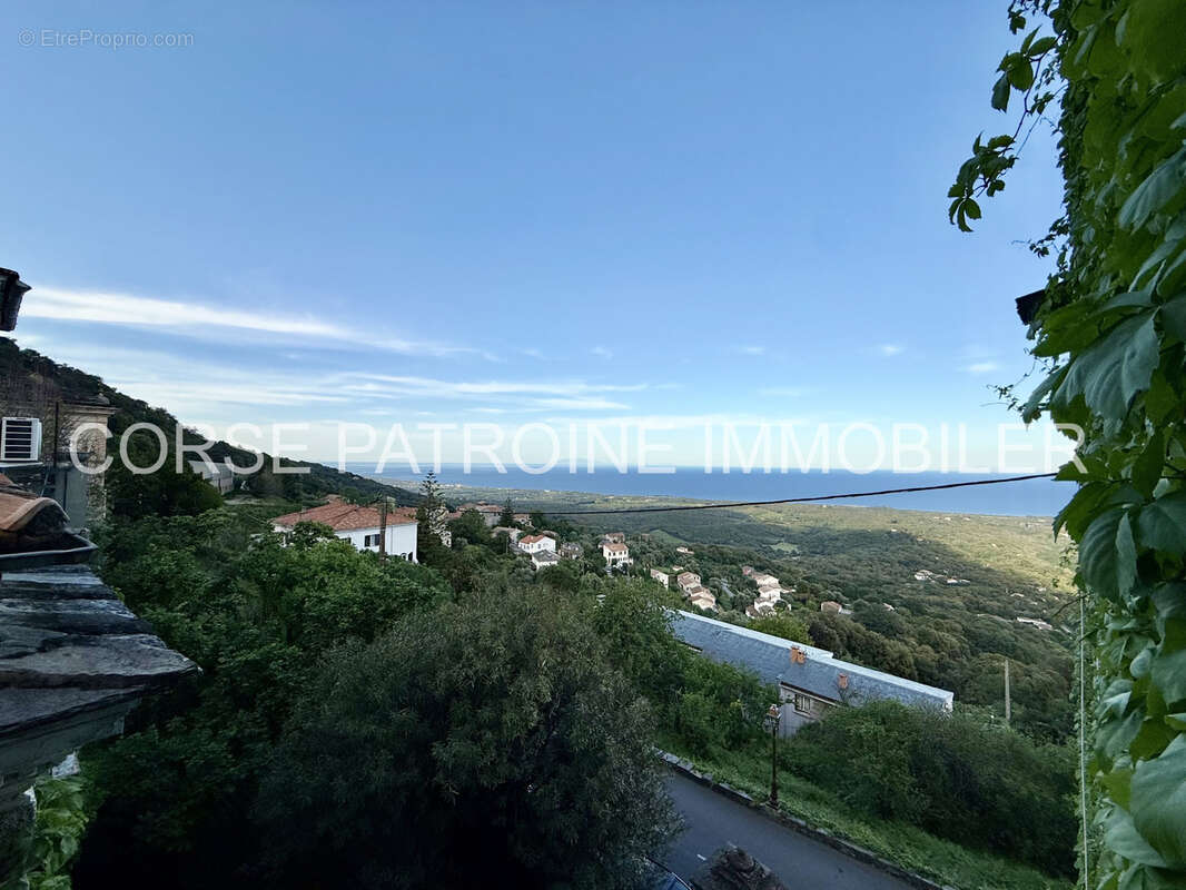 Appartement à CERVIONE