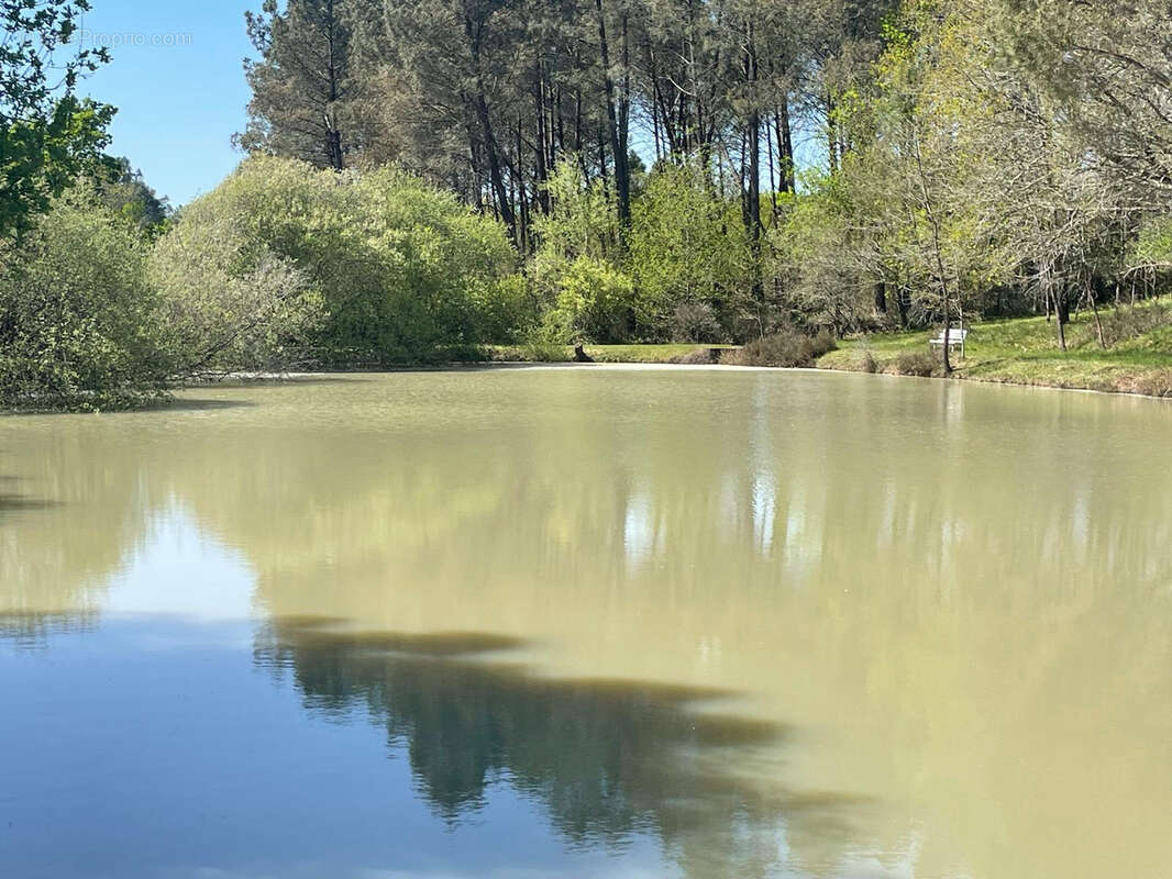 Maison à MONTPON-MENESTEROL