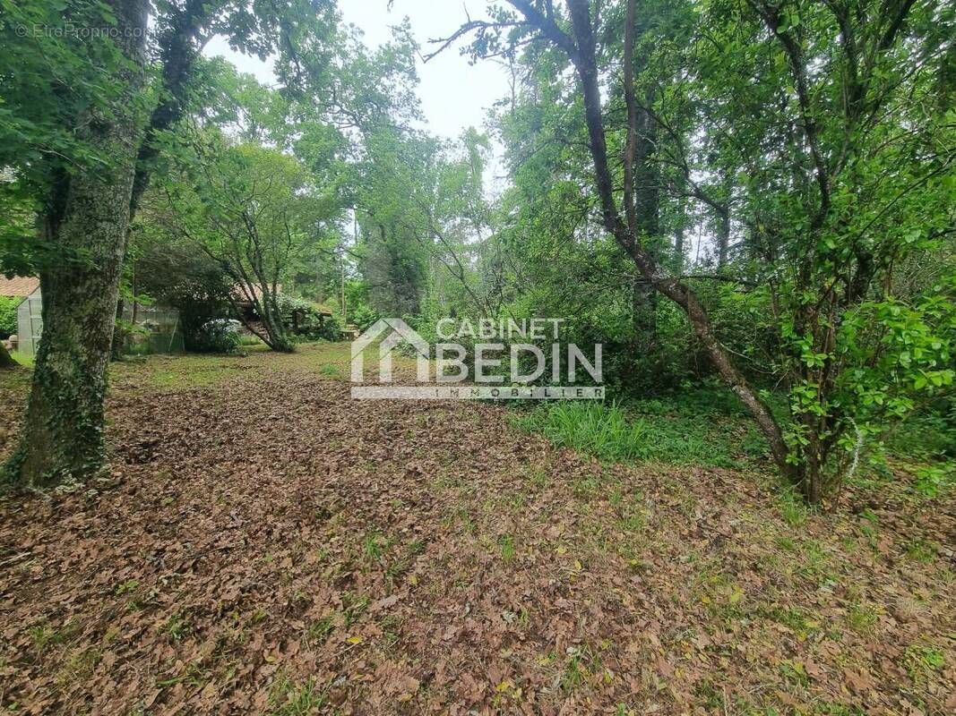 Terrain à SAINT-AUBIN-DE-MEDOC