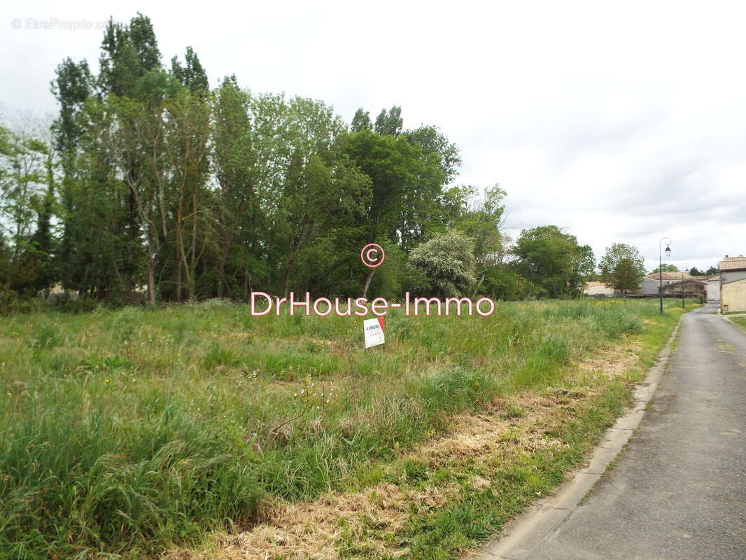 Terrain à SAINT-GENIS-DE-SAINTONGE