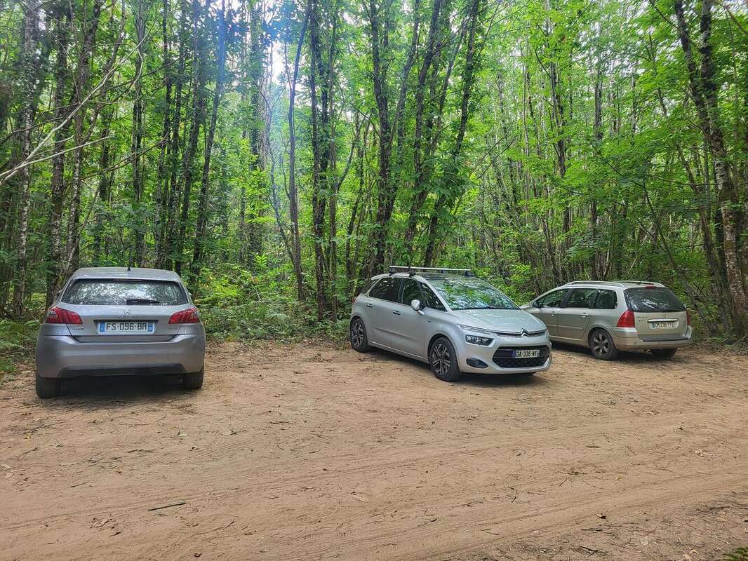 20250801105606 - Terrain à TAMNIES