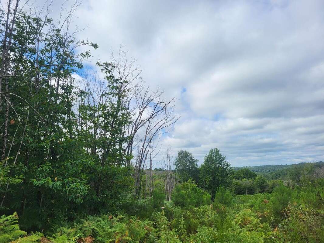 20250801105843 - Terrain à TAMNIES