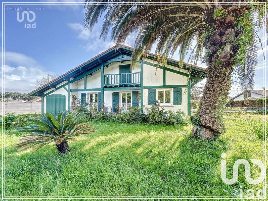 Photo 2 - Maison à SAINT-VINCENT-DE-TYROSSE