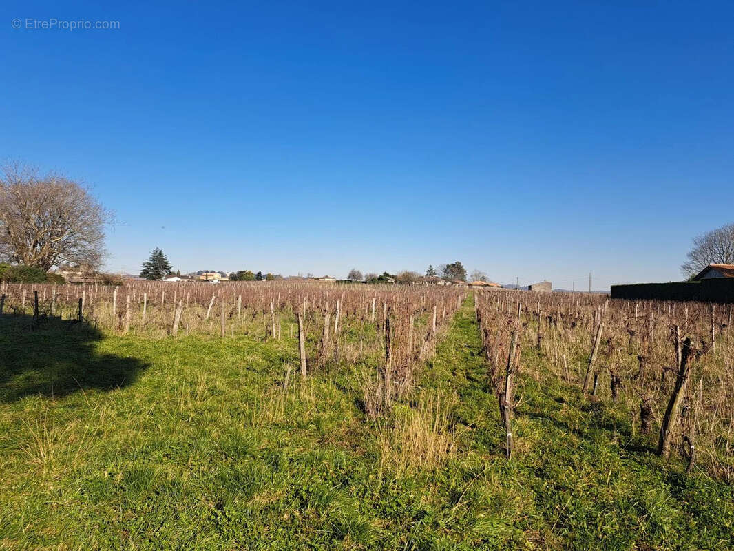 Maison à SAINT-EMILION
