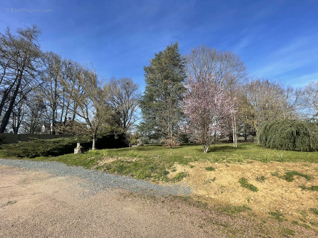 Maison à FRESSELINES