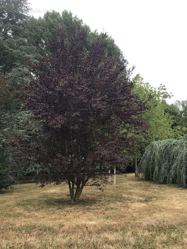 Maison à FRESSELINES