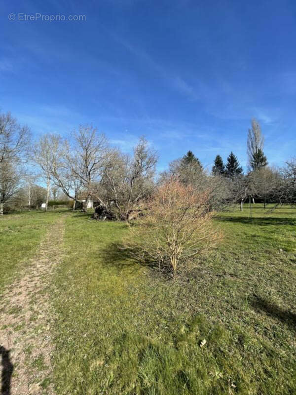 Maison à FRESSELINES