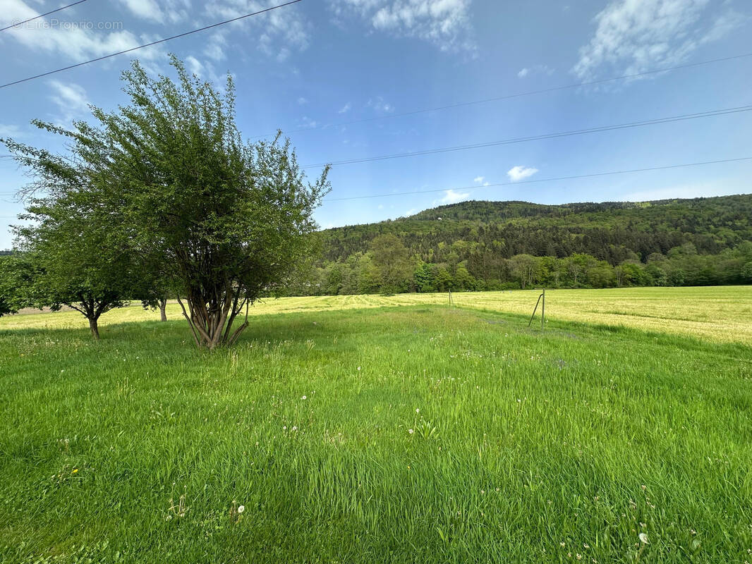 Maison à RUPT-SUR-MOSELLE