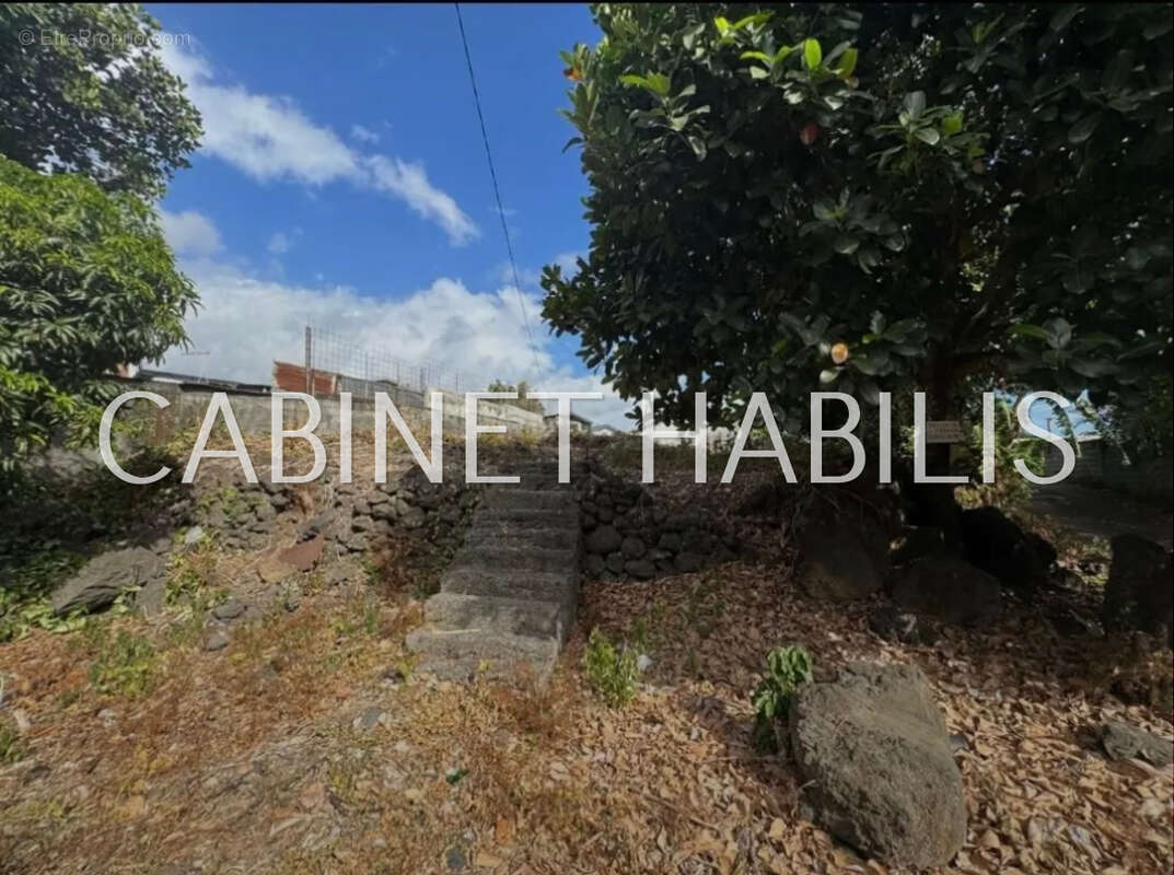 Terrain à SAINT-PIERRE