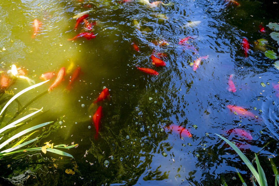 Maison à SAUSSET-LES-PINS