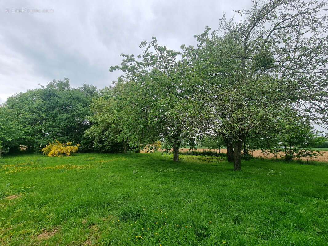 Maison à CORPS-NUDS