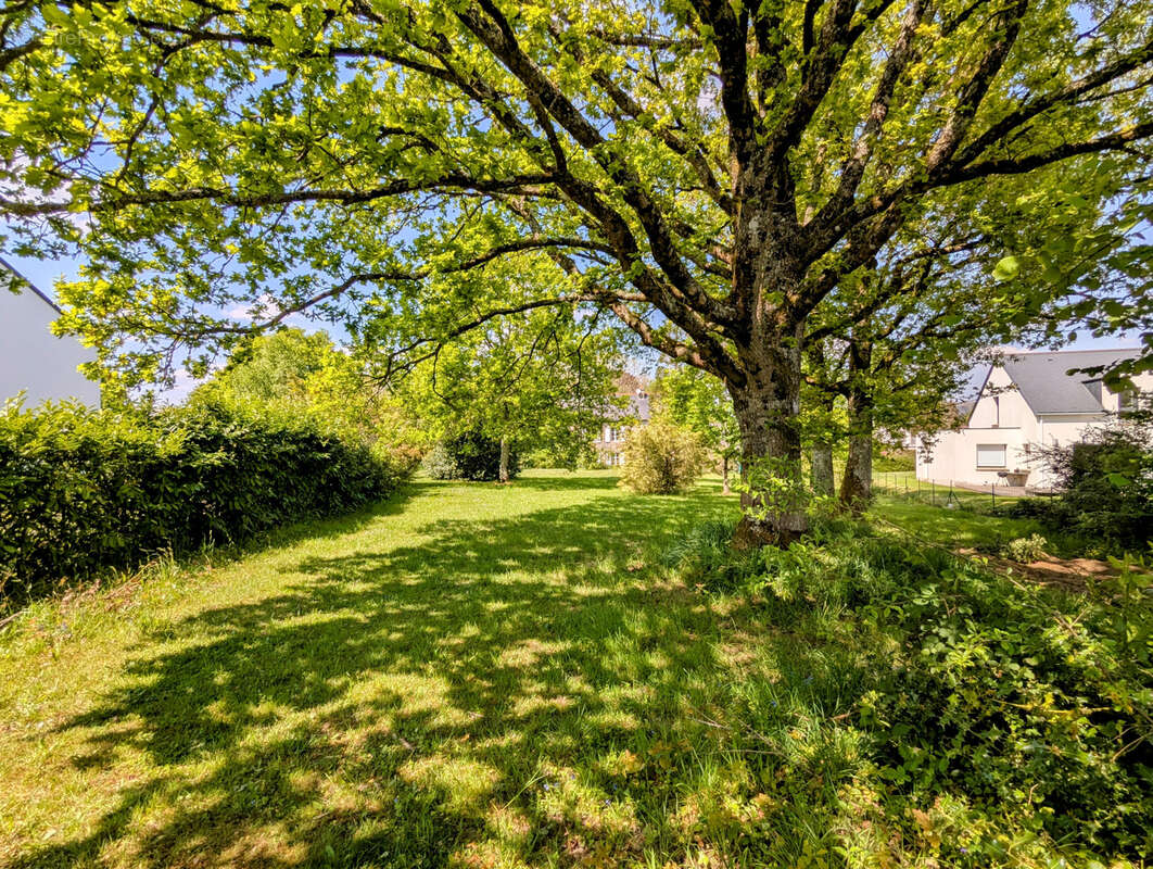 Terrain à PLELAN-LE-GRAND