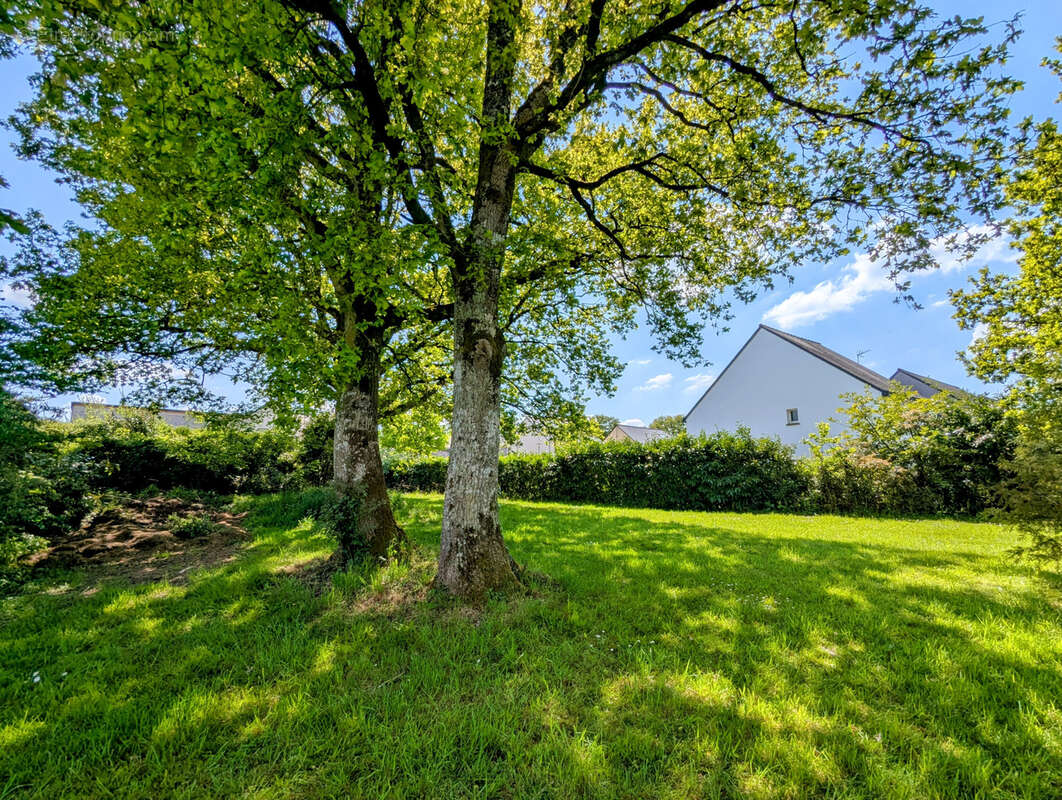 Terrain à PLELAN-LE-GRAND