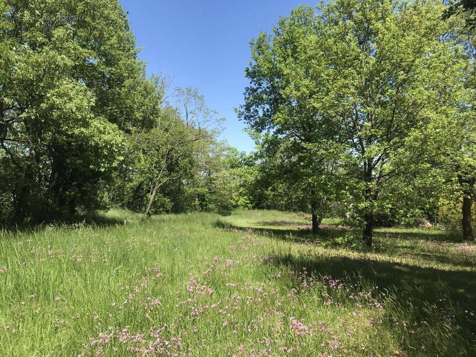 Terrain à MAURESSAC