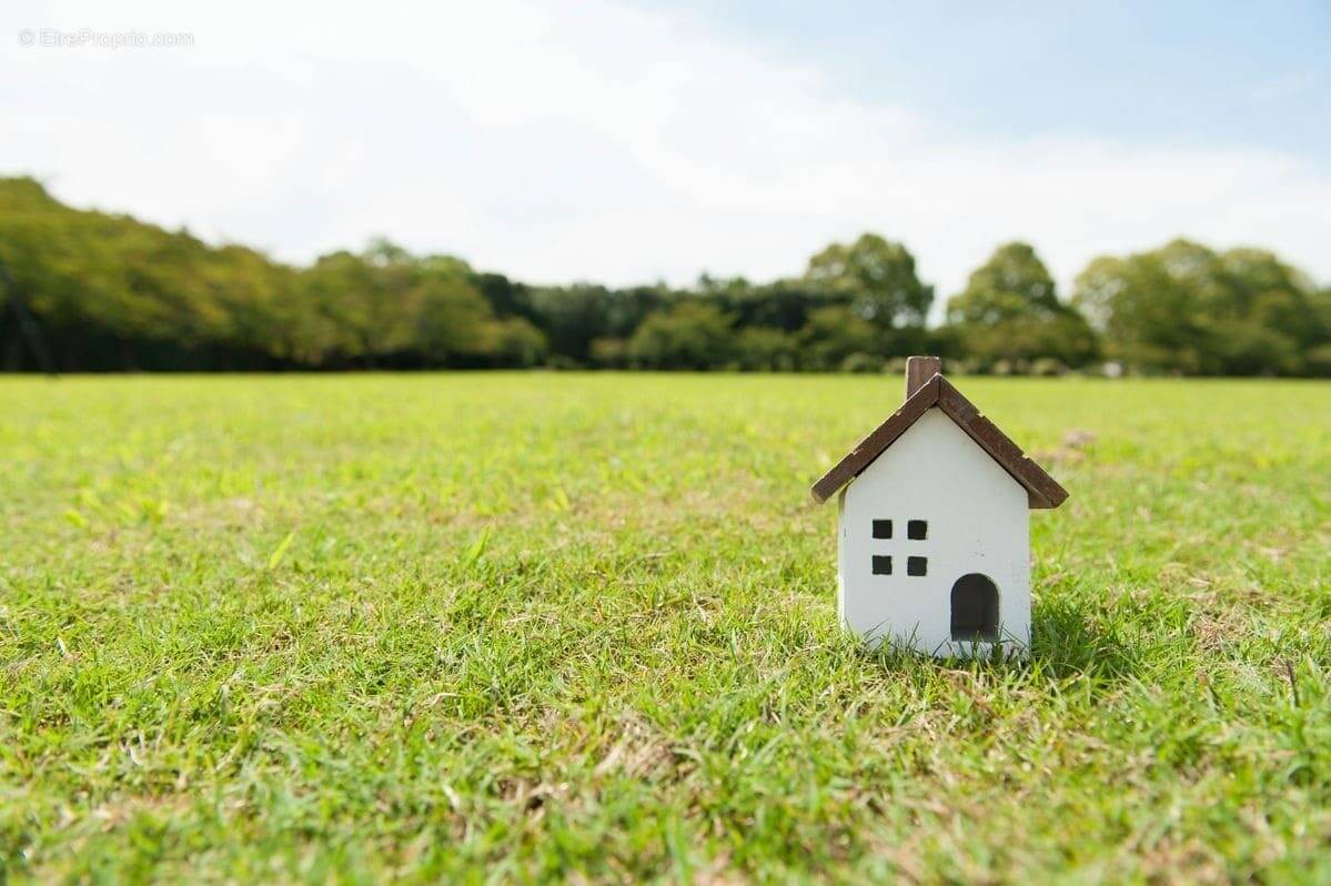 Terrain à ASSE-LE-RIBOUL