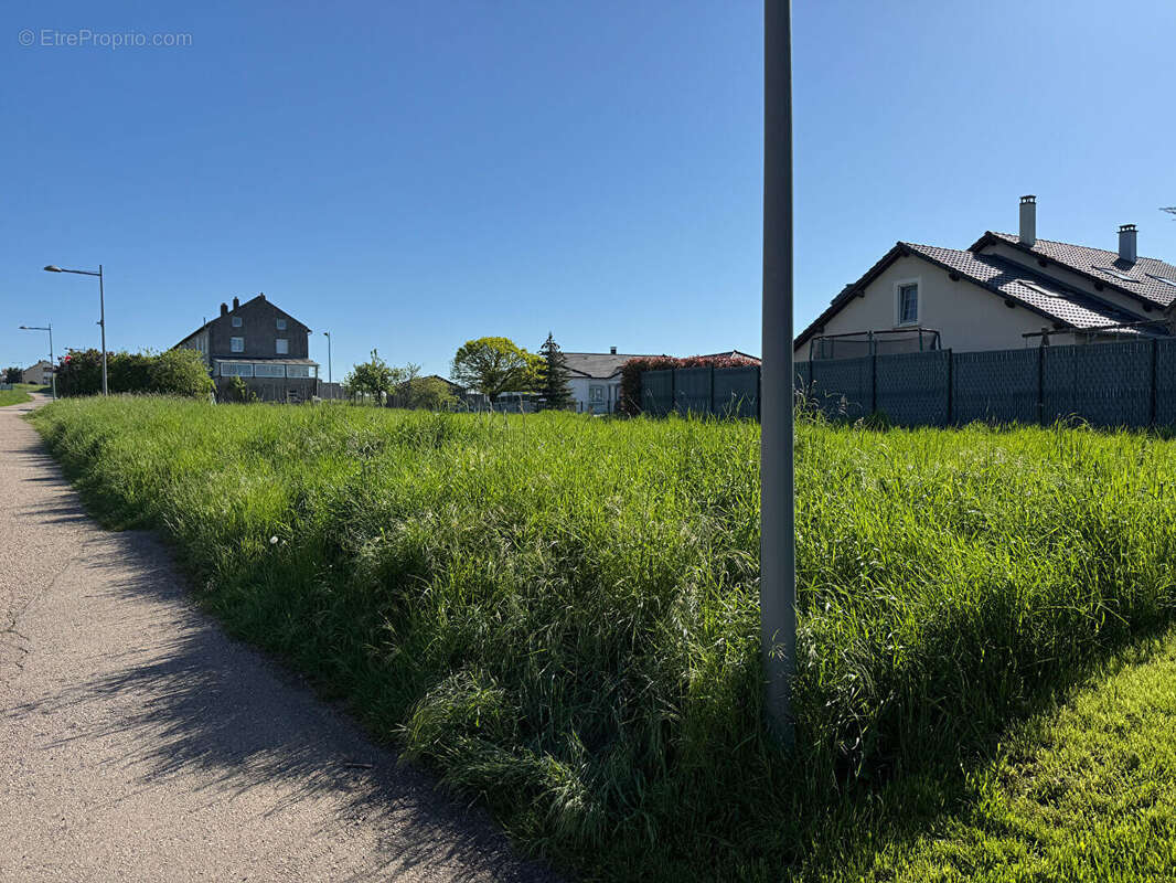 Terrain à KERLING-LES-SIERCK