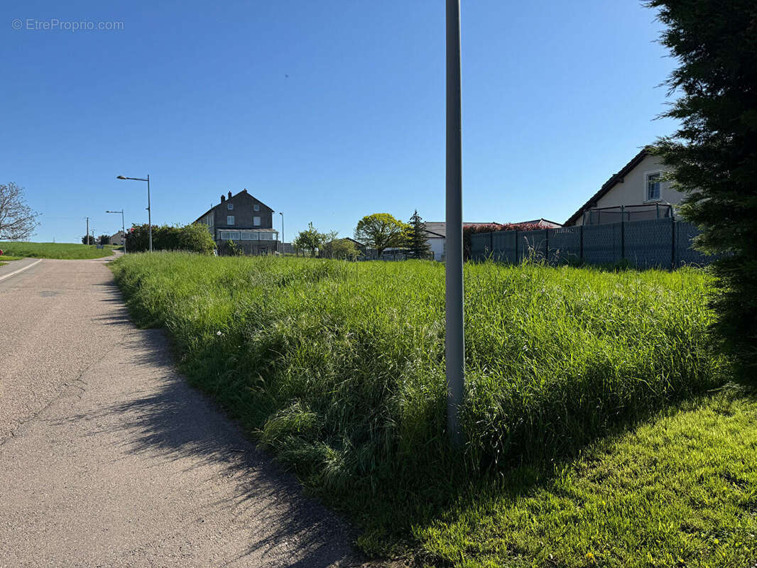 Terrain à KERLING-LES-SIERCK