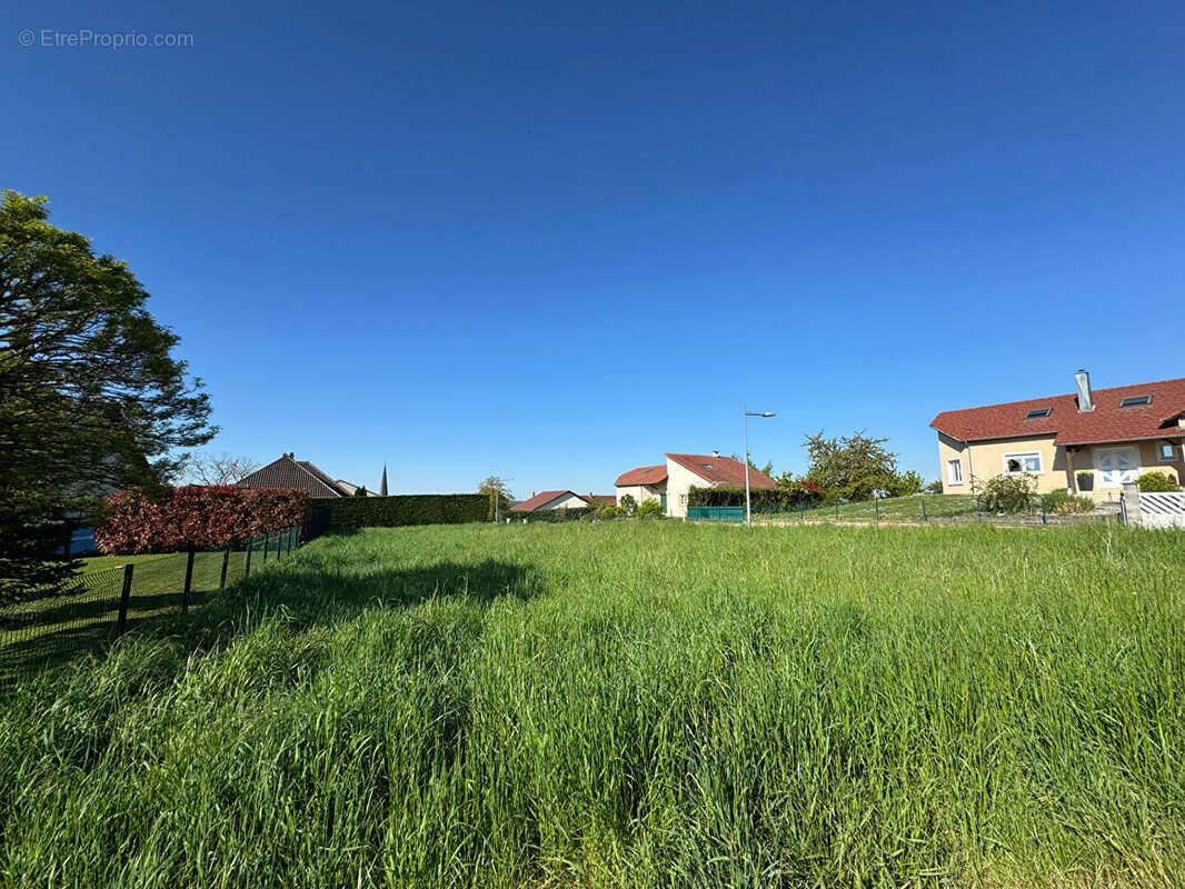 Terrain à KERLING-LES-SIERCK