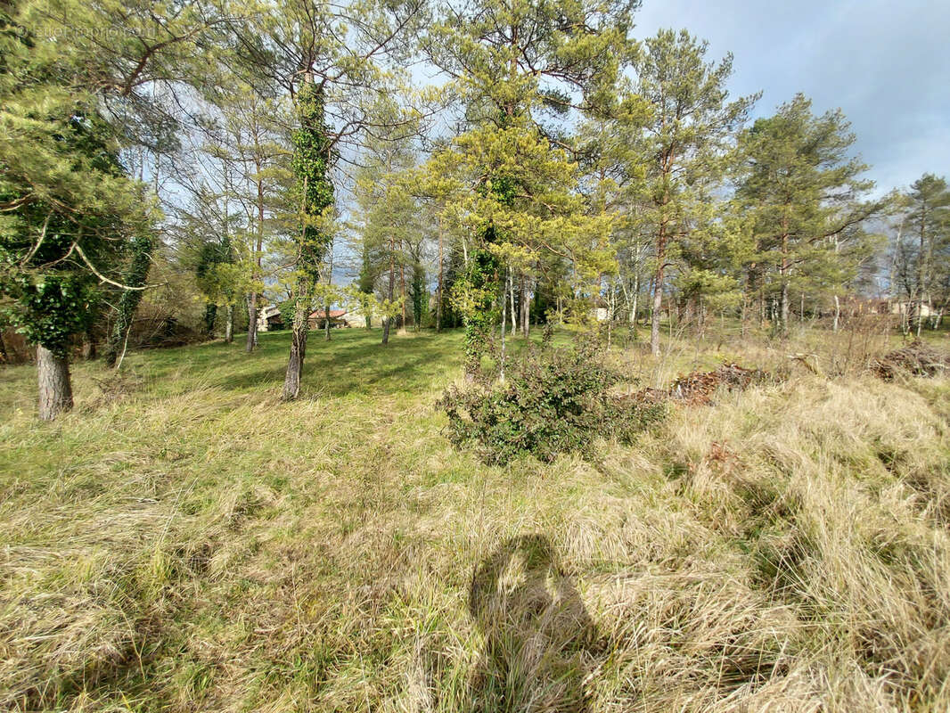 Maison à CHAMPAGNAC-DE-BELAIR