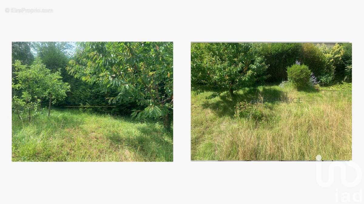 Photo 2 - Maison à SAINT-GERMAIN-EN-LAYE