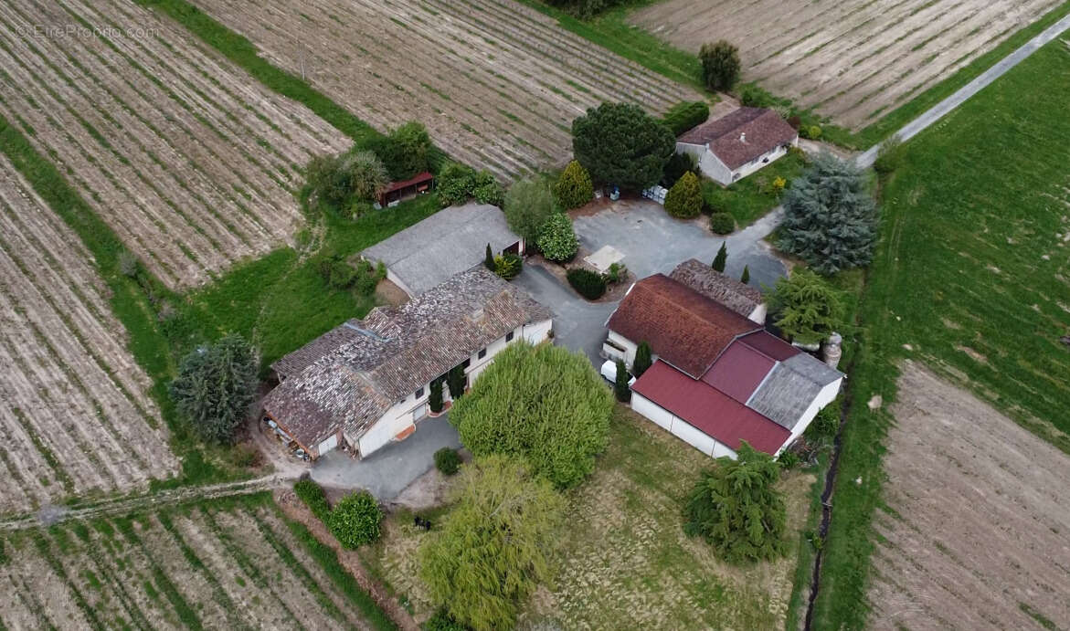 Maison à LISLE-SUR-TARN