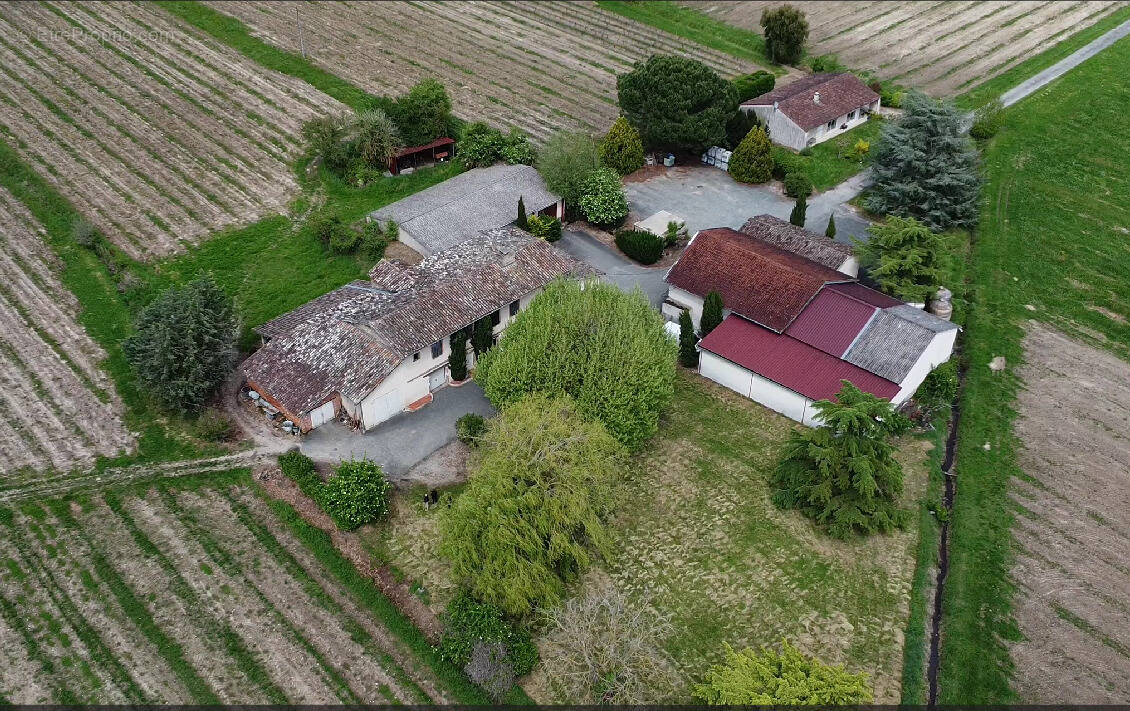 Maison à LISLE-SUR-TARN