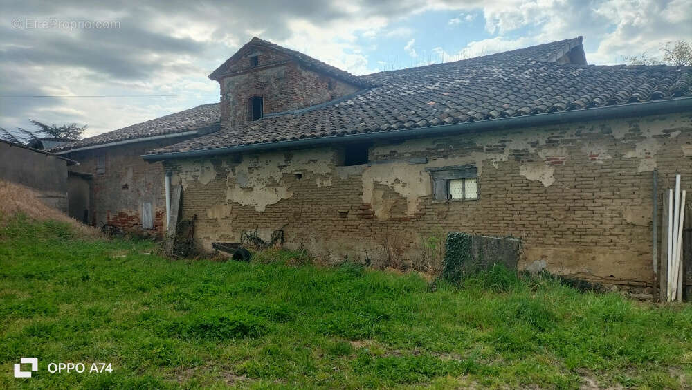 Maison à LISLE-SUR-TARN