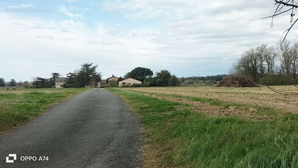 Maison à LISLE-SUR-TARN