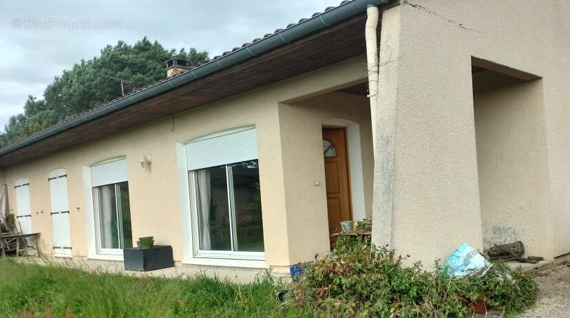 Maison à LISLE-SUR-TARN