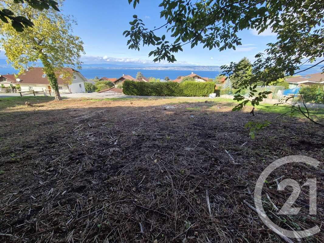 Terrain à NEUVECELLE