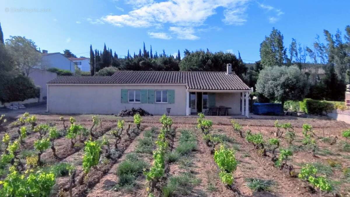 Maison à MONTBRUN-DES-CORBIERES