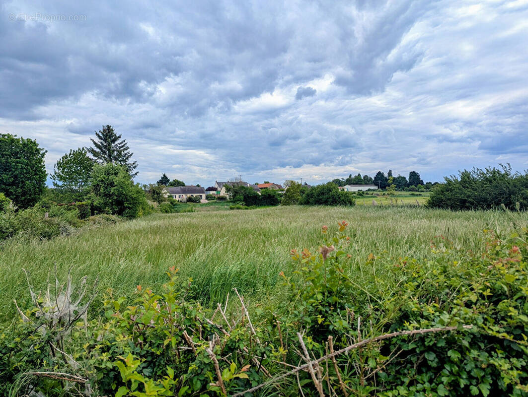 Terrain à VARENNES-LES-NARCY
