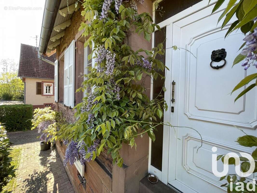 Photo 5 - Maison à GUNDERSHOFFEN