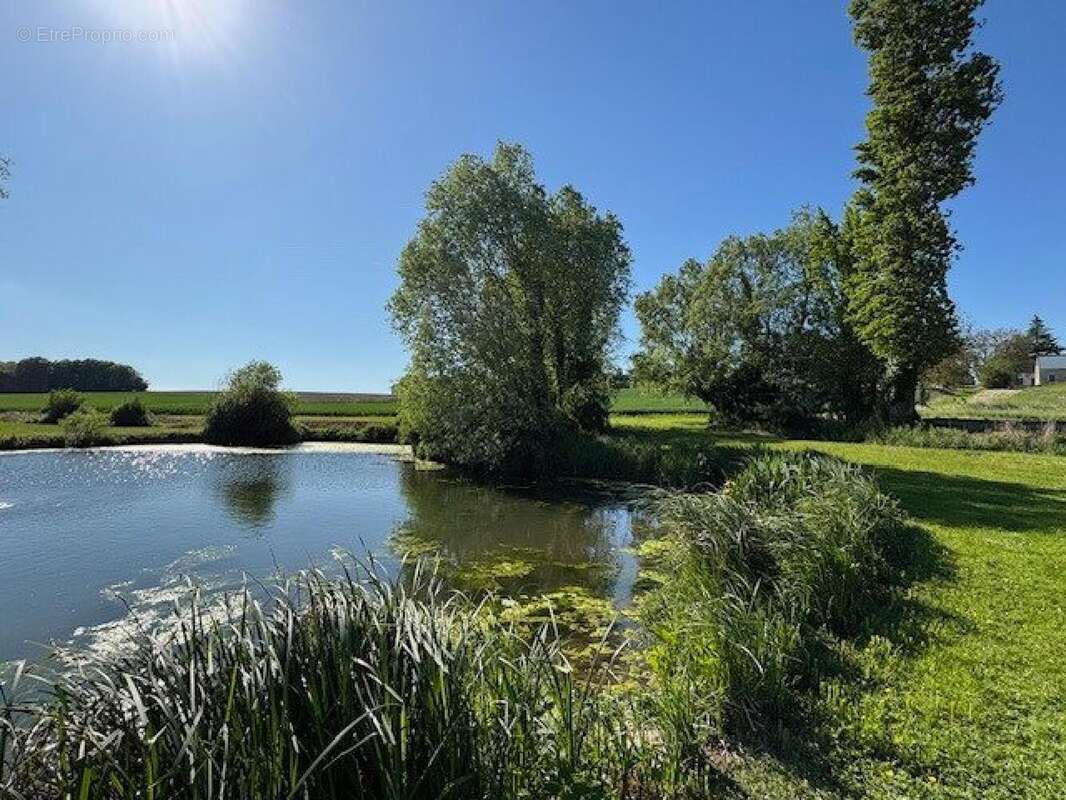 Photo 3 - Maison à LOCHES