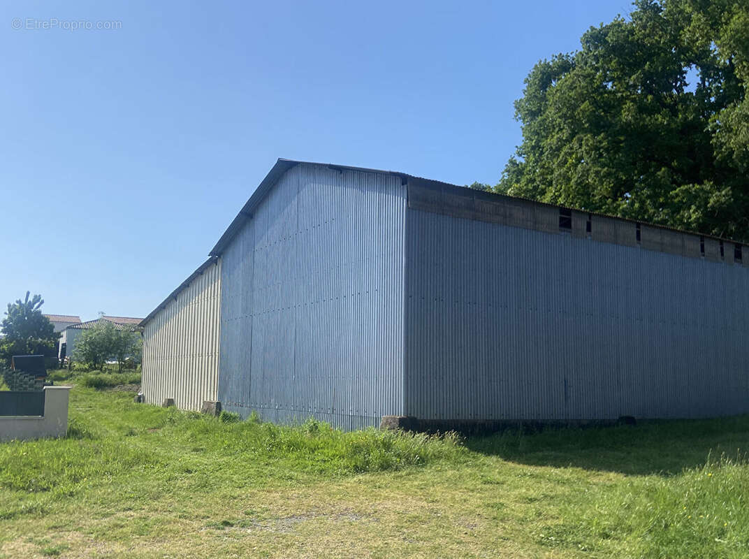 Terrain à LA ROMAGNE