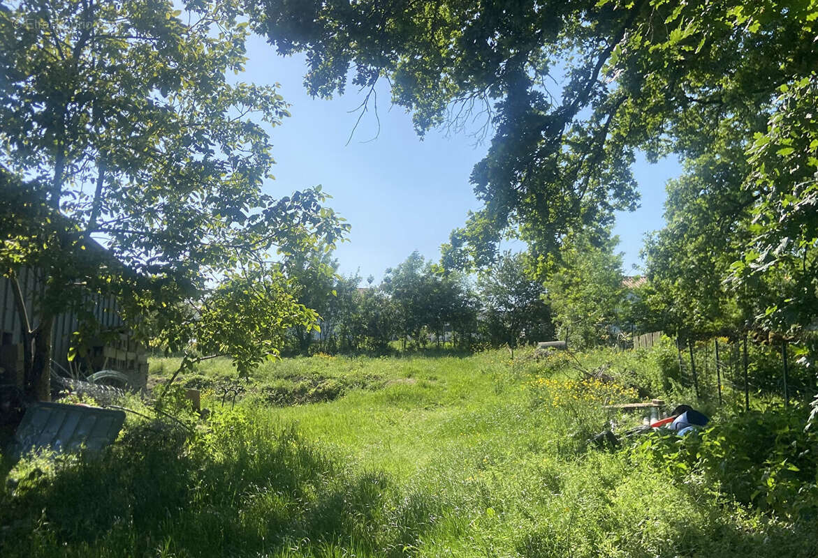 Terrain à LA ROMAGNE