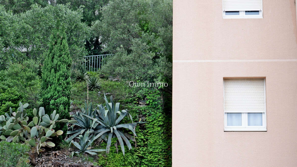 Appartement à SAN-MARTINO-DI-LOTA