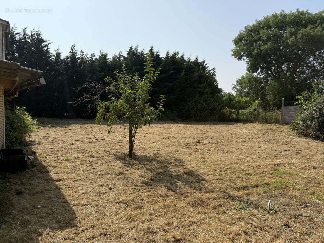 Maison à SAINT-SULPICE-DE-FALEYRENS