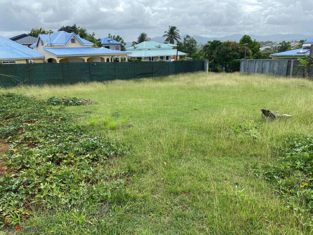 Terrain à BAIE-MAHAULT