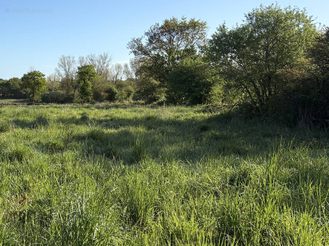 Terrain à TALMONT-SAINT-HILAIRE