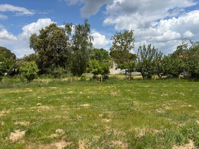 Terrain à TALMONT-SAINT-HILAIRE