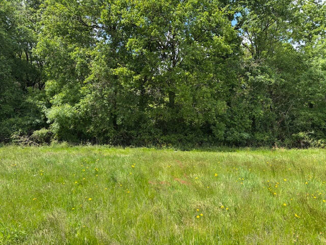 Terrain à TALMONT-SAINT-HILAIRE