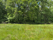 Terrain à TALMONT-SAINT-HILAIRE