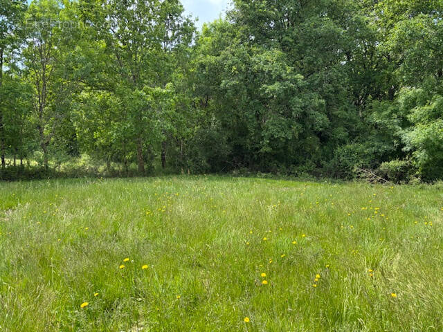 Terrain à TALMONT-SAINT-HILAIRE