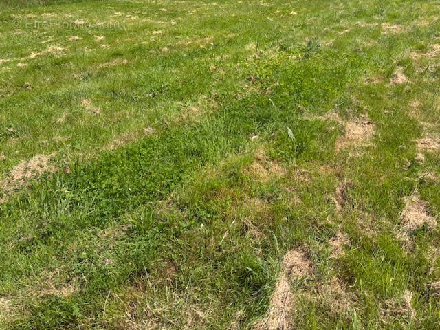 Terrain à TALMONT-SAINT-HILAIRE